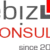 ebiz-consult GmbH & Co. KG