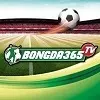 bongda365tv
