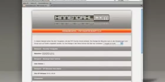 Look at PHP Counter Script V1.0